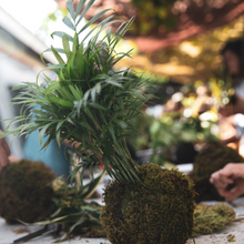 Load image into Gallery viewer, Kokedama Creations -17th October 2025