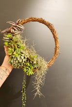Load image into Gallery viewer, Living Succulent Wreath - 28th November 2025