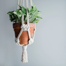 Load image into Gallery viewer, Modern Macrame Plant hanger -7th April 2024
